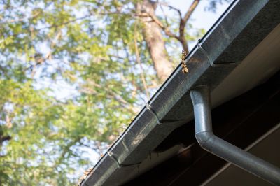 Commercial Gutter Cleaning