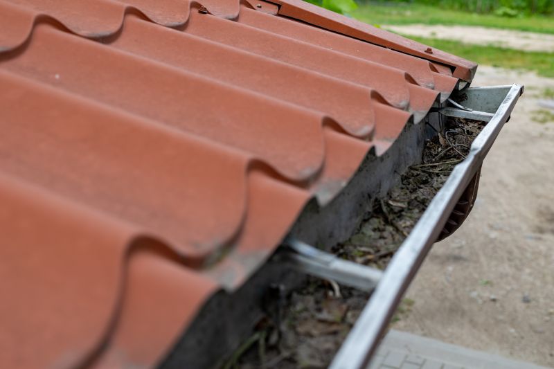 Commercial Gutter Cleaning
