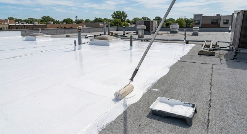 Extend Roof Life With Cleaning