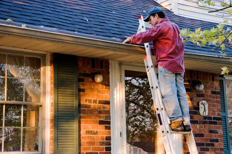 Keep Gutters Clear Year Round