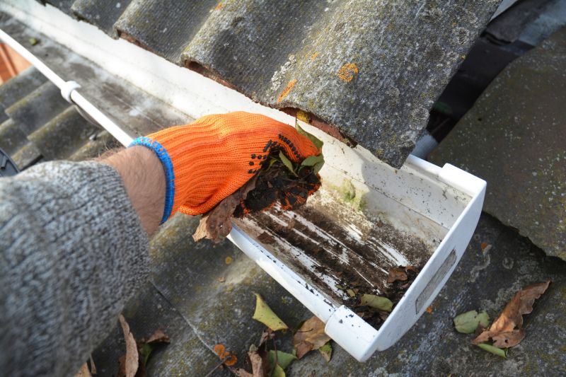 Keep Gutters Clear Year Round