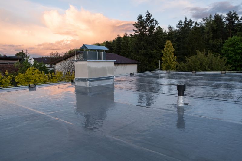 Roof Cleaning