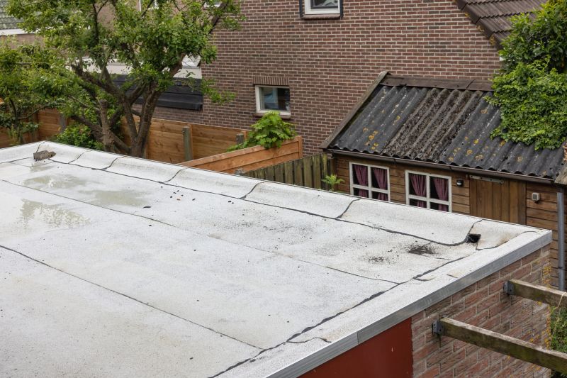 Roof Cleaning