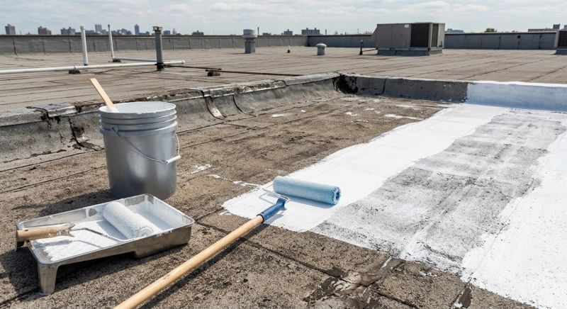 Roof Cleaning