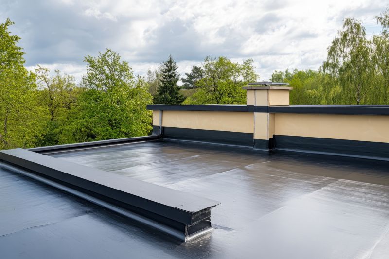 Roof Cleaning